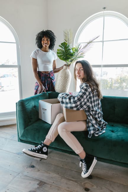 Two women engaged in a home relocation process inside a well-lit living room with large, arched windows. One woman, standing, has curly black hair and is smiling while holding a decorative plant with large green leaves and long, thin stems. She is wearing a white t-shirt and colorful plaid trousers. The other woman, sitting on a dark green velvet sofa, has straight brown hair and is dressed in a checkered shirt and light-colored jeans; she is holding a cardboard box resting on her lap. Several other cardboard boxes are positioned around them, indicating packing activity. The room features wooden flooring, and natural light fills the space, highlighting the neutrality and professionalism typical of house removals and furniture transport services by Enfield Removals, as suggested by the context of the scene.